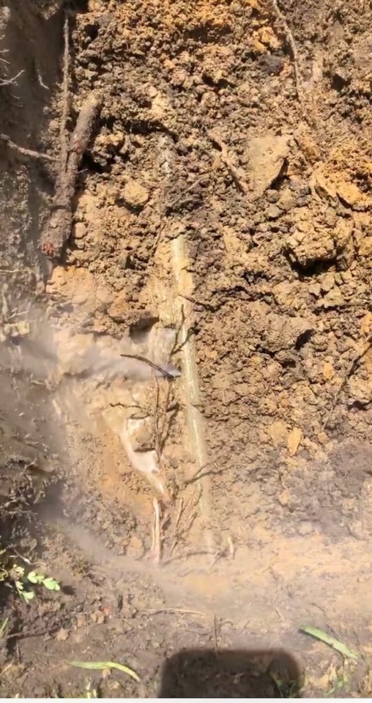 Mount Pleasant leak detection