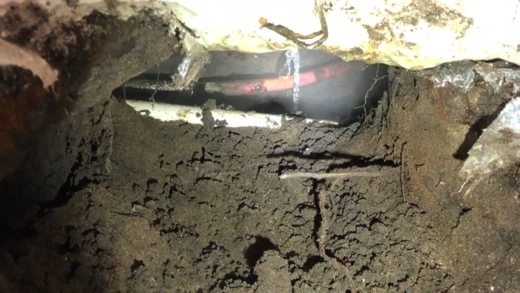 Charleston Leak Detection