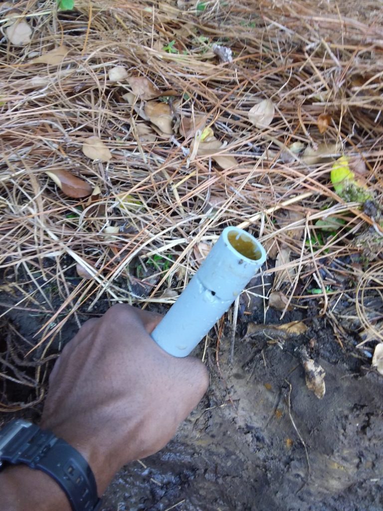 Charleston leak detection