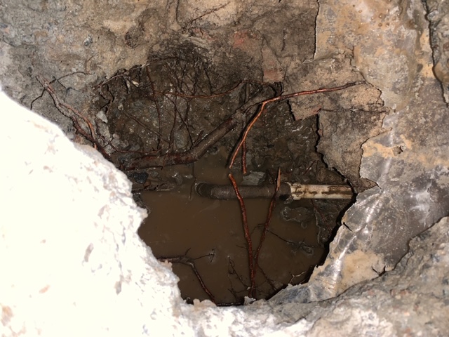 Charleston leak detection